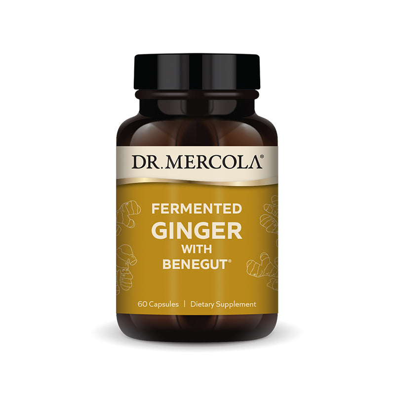 Fermented Ginger with Benegut Supplement bottle