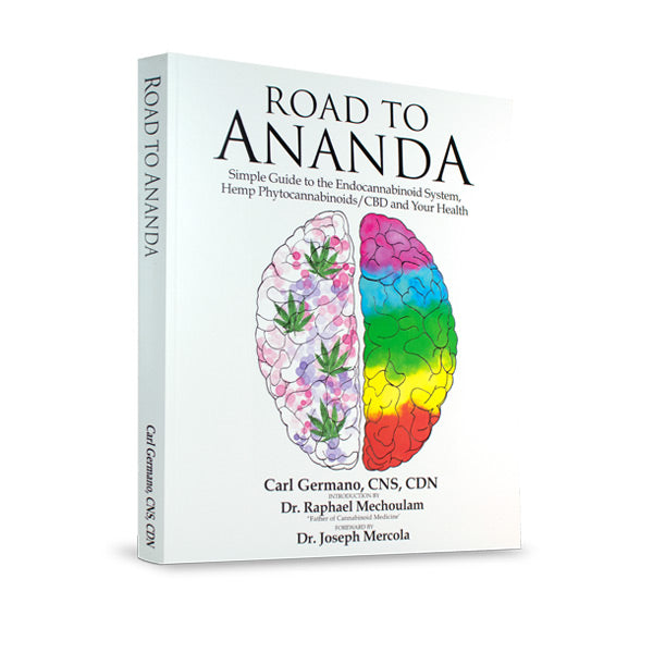 Road to Ananda Book cover
