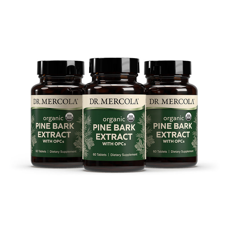 Dr. Mercola Organic Pine Bark Extract with OPCs Supplement
