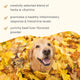 Apoyo Estacional Bark & Whiskers®