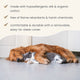 Cama Premium para Mascotas