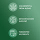 Chlorella Fermentada