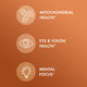 Curcumin Advanced
