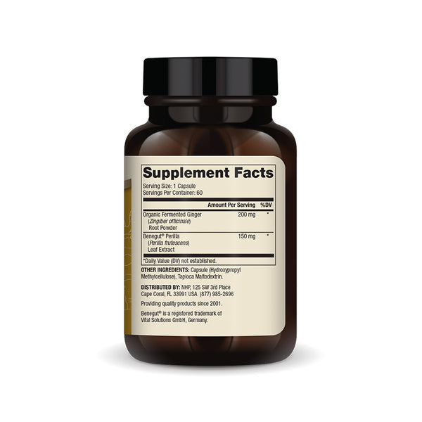 Fermented Ginger with Benegut Supplement capsules