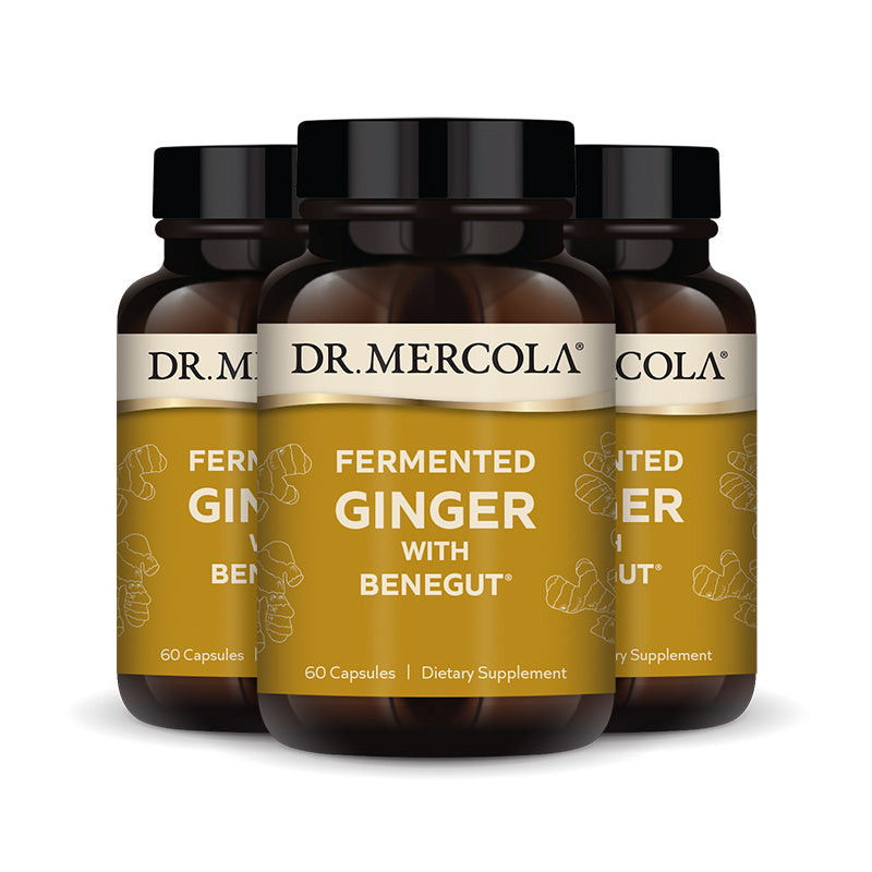 Fermented Ginger with Benegut Supplement bottle