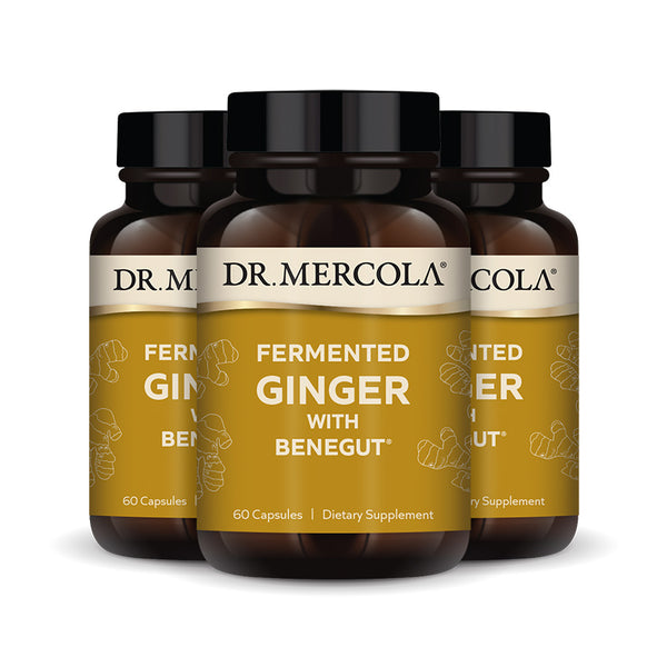 Fermented Ginger with Benegut Supplement bottle