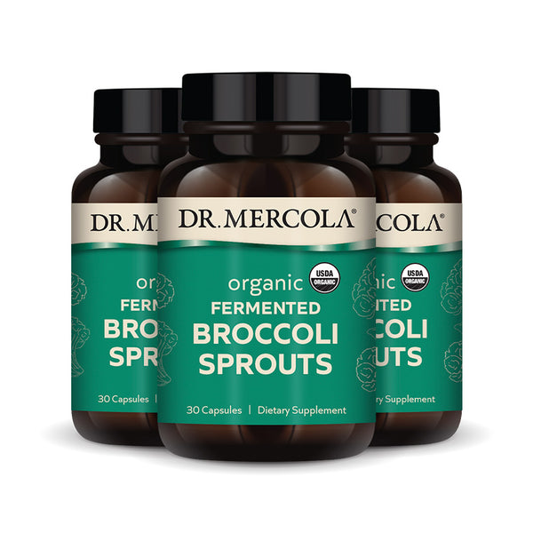 Organic Fermented Broccoli Sprouts