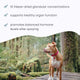 Apoyo Glandular para todo el cuerpo Bark & Whiskers® - Hembras