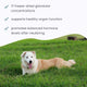 Apoyo Glandular para todo el cuerpo Bark & Whiskers® - Machos