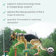 Bark & Whiskers® Organic Vitamin B Complex