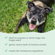 Huesos Dentales Masticables y Suaves Bark & Whiskers® - Grandes