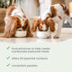 Bark & Whiskers® Meal Mix for Adult Dogs