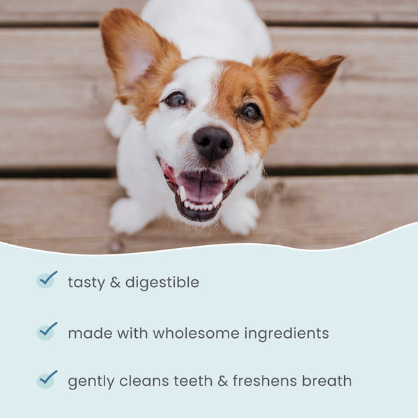 Bark & Whiskers Small Dental Chew Bones