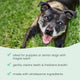Huesos Dentales Masticables Grandes Bark & Whiskers®: Cree su Propio Paquete de 3