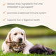 Bark & Whiskers® Immune Support Kit