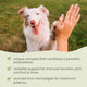 Bark & Whiskers® Immune Support Kit