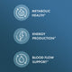 Biothin® Organic MCT Oil