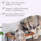 Bark & Whiskers® Complete Probiotics & Digestive Enzymes