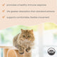 Bark & Whiskers® Organic Curcumin & Joint Support