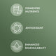 Biodynamic® Organic Fermented Moringa