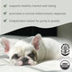 Aceite de Cáñamo Orgánico para Perros Biodynamic® Bark & Whiskers®