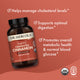 Biodynamic® Organic Fermented Cinnamon