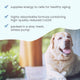 Bark & Whiskers® Ubiquinol Liquid Pump