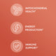 Glutatión Liposomal