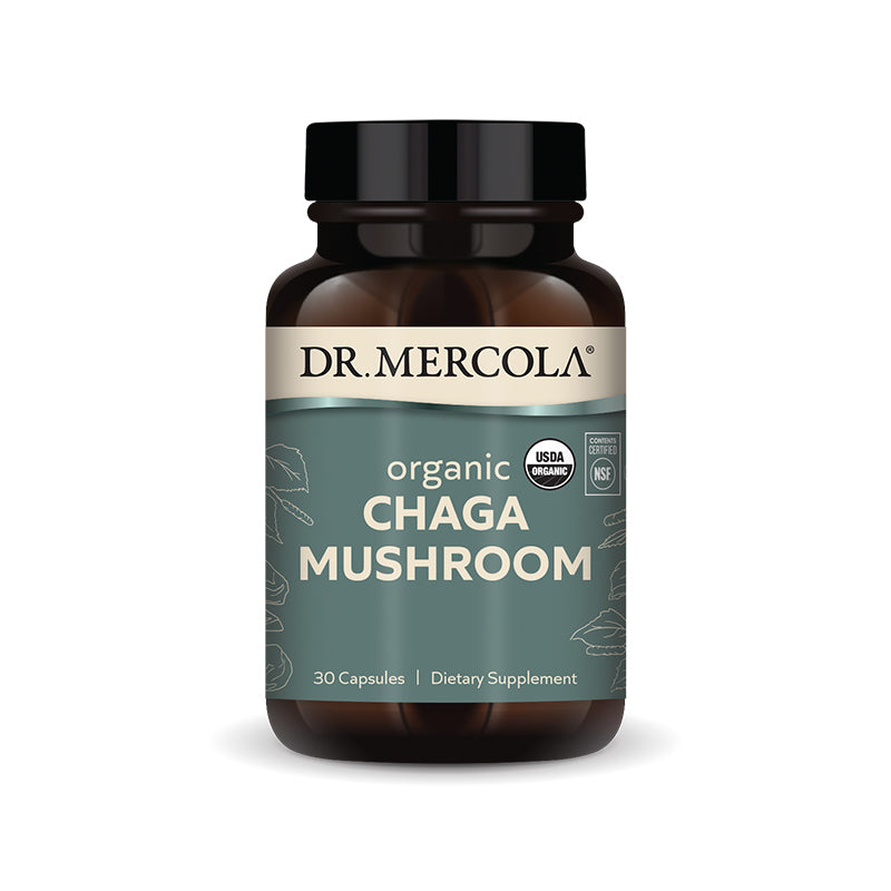 Organic Chaga Mushroom capsules