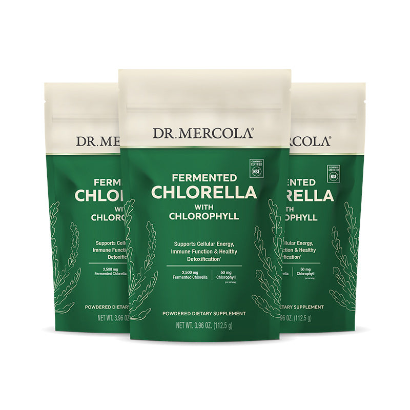 Fermented Chlorella with Chlorophyll Powder