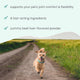 Bark & Whiskers® Joint Support