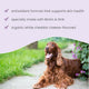 Bark & Whiskers® Skin Support Bites