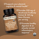 Organic Lion's Mane Mushroom Extract