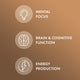 Organic Lion's Mane Mushroom Extract