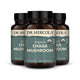 Organic Chaga Mushroom capsules