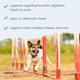 Premios para Estimular el Cerebro Bark & Whiskers®