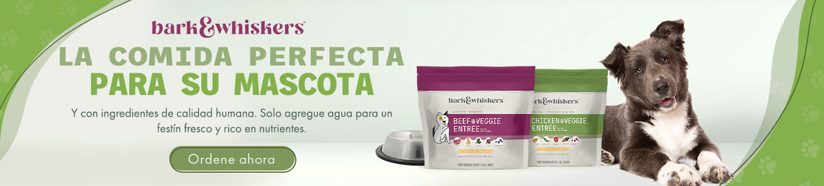 Comida deshidratada para perros