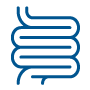 Digestive Support