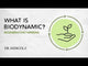 Biodynamic® Organic Fermented Cinnamon