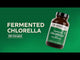 Chlorella Fermentada