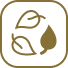 Line icon of a cotton leaf and seed pod