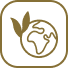 Line icon of a globe sprouting leaves