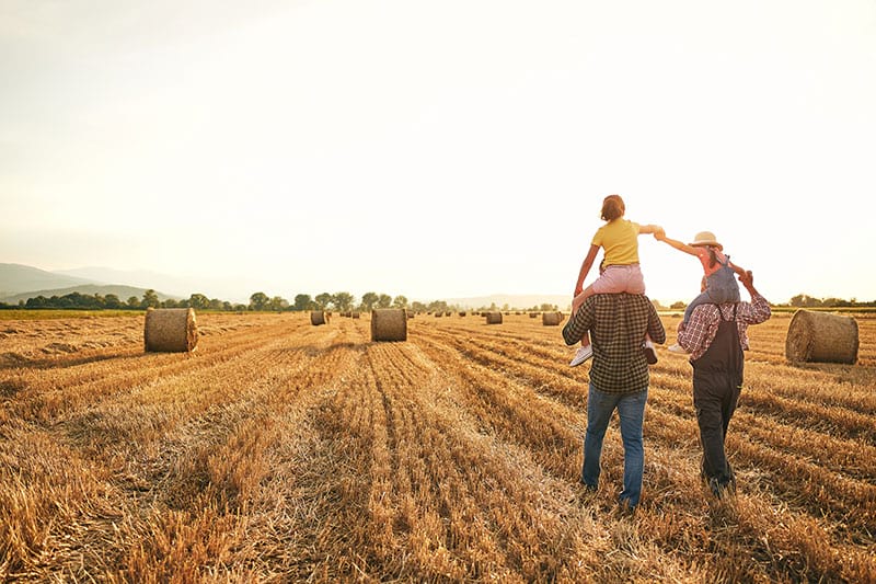 A family walking through a harvested wheat field at sunset, a child riding on an adult’s shoulders.